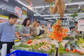Lãnh đạo Vụ thị trường trong nước và Sở Công Thương Hà Nội kiểm tra công tác dự trữ hàng hóa tiêu dùng thiết yếu chiều ngày 6/9. (Ảnh: PV/Vietnam+)