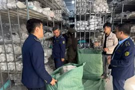 Lực lượng chức năng kiểm tra kho hàng chứa các sản phẩm giày nghi giả nhãn hiệu được bảo hộ. (Ảnh: PV/Vietnam+)
