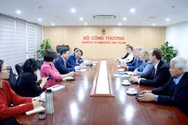 Thứ trưởng Bộ Công Thương Nguyễn Sinh Nhật Tân làm việc với đại diện Tập đoàn Novatek. (Ảnh: PV/Vietnam+)