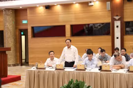 Thứ trưởng Bộ Tài nguyên và Môi trường Lê Minh Ngân trao đổi với báo chí. (Ảnh: Đức Duy/Vietnam+)
