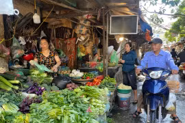 Người dân mua hàng tại chợ truyền thống. (Ảnh: PV/Vietnam+)