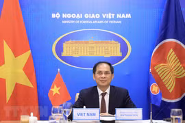 Bộ trưởng Ngoại giao Bùi Thanh Sơn dự và phát biểu tại hội nghị trực tuyến đặc biệt Bộ trưởng Ngoại giao ASEAN-Hoa Kỳ. (Ảnh: Lâm Khánh/TTXVN)