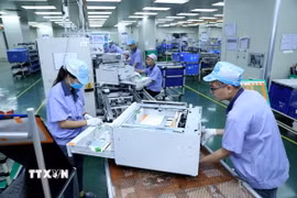 Ảnh minh họa. (Nguồn: TTXVN)