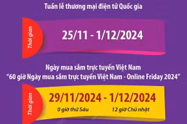 Tuần lễ thương mại điện tử quốc gia: Tự hào hàng Việt Nam