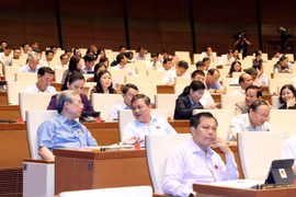 Các đại biểu Quốc hội. (Ảnh: Trọng Đức/TTXVN)