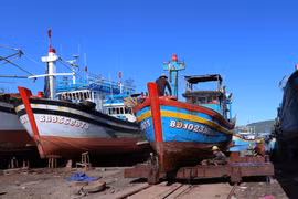 (Ảnh: Vũ Sinh/TTXVN)