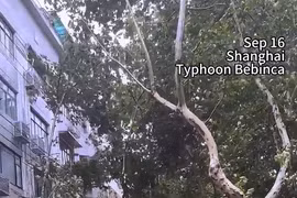 Video đường phố Thượng Hải xơ xác sau khi siêu bão Bebinca đổ bộ