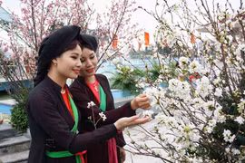 Khách tham quan Triển lãm. (Ảnh: Diệp Trương/TTXVN)