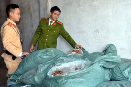 Lực lượng chức năng phát hiện và bắt giữ vụ vận chuyển 1,3 tấn lòng lợn không rõ nguồn gốc. (Ảnh: Nguyễn Hoàng/TTXVN)