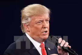 Ông Donald Trump tại cuộc tranh luận trực tiếp thứ hai ở Đại học Washington, thành phố St Louis, bang Missouri ngày 9/10 vừa qua. (Ảnh: AFP/TTXVN)