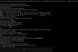 Khai thác lỗ hổng EthernalBlue​. (Nguồn: Whitehat)