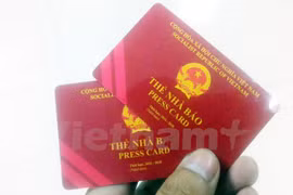 Ảnh chỉ có tính minh họa. (Nguồn: Vietnam+) 