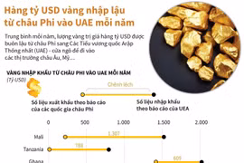 Hàng tỷ USD vàng nhập lậu từ châu Phi vào UAE mỗi năm