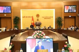 Phó Chủ tịch Thường trực Quốc hội Tòng Thị Phóng phát biểu ý kiến thảo luận. (Ảnh: Dương Giang/TTXVN)