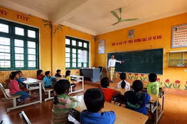 (Ảnh minh họa: Phan Tuấn Anh/TTXVN)