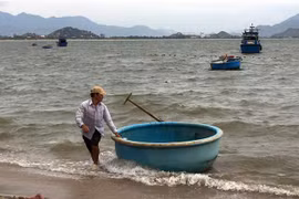 Ngư dân phường Đông Hải, thành phố Phan Rang-Tháp Chàm đưa thúng vào bờ tránh bão. (Ảnh: Công Thử/TTXVN)