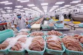 Chế biến cá tra xuất khẩu. (Ảnh: Danh Lam/TTXVN)