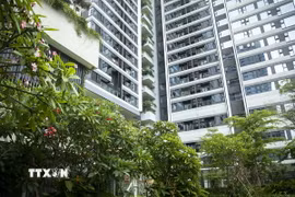 Việt Nam thăng hạng trong bảng xếp hạng LEED về công trình xanh. (Nguồn: TTXVN)