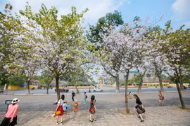 (Ảnh minh họa: Trọng Đạt/TTXVN)