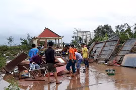 Ngành chức năng tỉnh Bạc Liêu giúp dân khắc phục hậu quả do bão số 1 gây ra. (Ảnh: Huỳnh Sử/TTXVN)