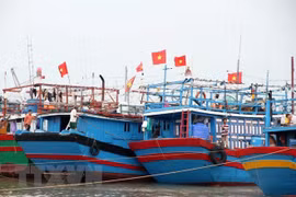 Neo đậu tàu thuyền tránh trú bão. (Ảnh: TTXVN)