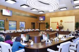 Quang cảnh phiên họp. (Ảnh: Doãn Tấn/TTXVN)