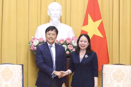 Phó Chủ tịch nước Võ Thị Ánh Xuân tiếp Chủ tịch Tập đoàn Bảo hiểm nhân thọ AIA Lee Yuan Siong. (Ảnh: Lâm Khánh/TTXVN)
