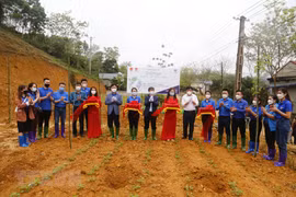 Trồng và trao tặng 500 cây xanh cho các hộ gia đình có hoàn cảnh khó khăn của xã Trung Yên. (Ảnh: Nam Sương/TTXVN)