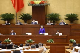 Thống đốc Ngân hàng Nhà nước Việt Nam Nguyễn Thị Hồng trả lời chất vấn. (Ảnh: Doãn Tấn/TTXVN)