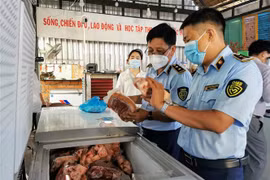 Kiểm tra một cơ sở kinh doanh thực phẩm đông lạnh ở Cần Thơ. (Ảnh: Thanh Liêm/TTXVN)