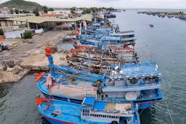 Tàu thuyền đánh bắt xa bờ của ngư dân vào neo đậu tránh bão Noru tại cảng cá Ninh Chữ, huyện Ninh Hải, Ninh Thuận. (Ảnh: Nguyễn Thành/TTXVN)