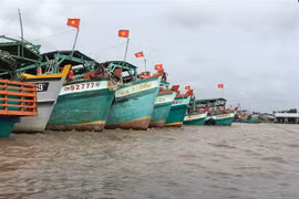 Tàu cá Cà Mau. (Ảnh: Thế Anh/TTXVN)