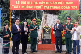 Lễ mở bia đá cây di sản Việt Nam tại Trung đoàn 726. (Ảnh: TTXVN phát)