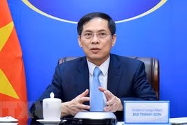 Bộ trưởng Bộ Ngoại giao Bùi Thanh Sơn. (Ảnh: TTXVN phát)