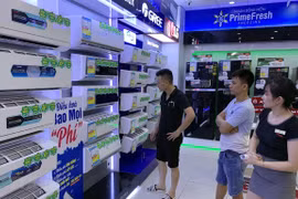 Ảnh minh họa. (Nguồn: TTXVN)