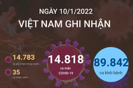 Ngày 10/1, số bệnh nhân COVID-19 khỏi bệnh cao kỷ lục.