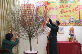 Cán bộ, chiến sỹ Đồn Biên phòng Tân Thanh, tỉnh Lạng Sơn trang trí đào Tết tại đơn vị. (Ảnh: Quang Duy/TTXVN)