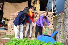 Hố ủ rác ở góc vườn nhà bà Nguyên. (Nguồn: Nông nghiệp Việt Nam)