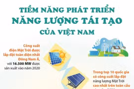 Tiềm năng phát triển năng lượng tái tạo của Việt Nam.