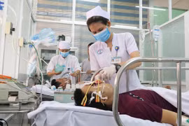 Ảnh minh họa. (Nguồn: TTXVN)