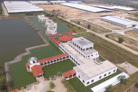 Các chuyên gia của Vinamilk và đối tác nước ngoài cùng phối hợp để vận chuyển đàn bò hơn 2.000 con từ Mỹ về Việt Nam.