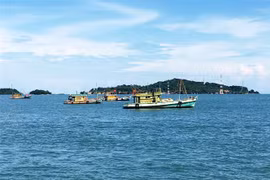 (Ảnh minh họa: Hồng Đạt/TTXVN)
