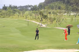 (Ảnh minh họa: Ninh Đức Phương/TTXVN)