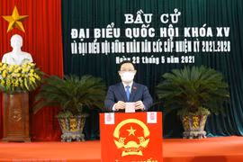 Bầu cử Quốc hội và Hội đồng Nhân dân: Những con số thuyết phục