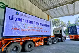 Truyền thông Thái Lan ấn tượng với chiến lược gạo của Việt Nam