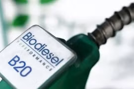 Indonesia là nhà sản xuất dầu diesel sinh học lớn nhất thế giới