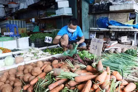 Ảnh minh họa. (Ảnh: Huỳnh Anh/TTXVN)