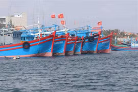 Sẽ xử lý nghiêm tàu cá vi phạm khai thác trái phép theo quy định IUU