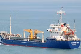 Bà Rịa-Vũng Tàu tiếp nhận, điều trị cho thuyền viên tàu Đại Dương Sea