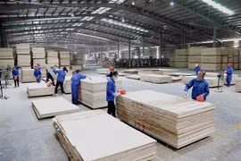 Gần 10% doanh nghiệp thiếu hụt nguồn vốn và dòng tiền kinh doanh
